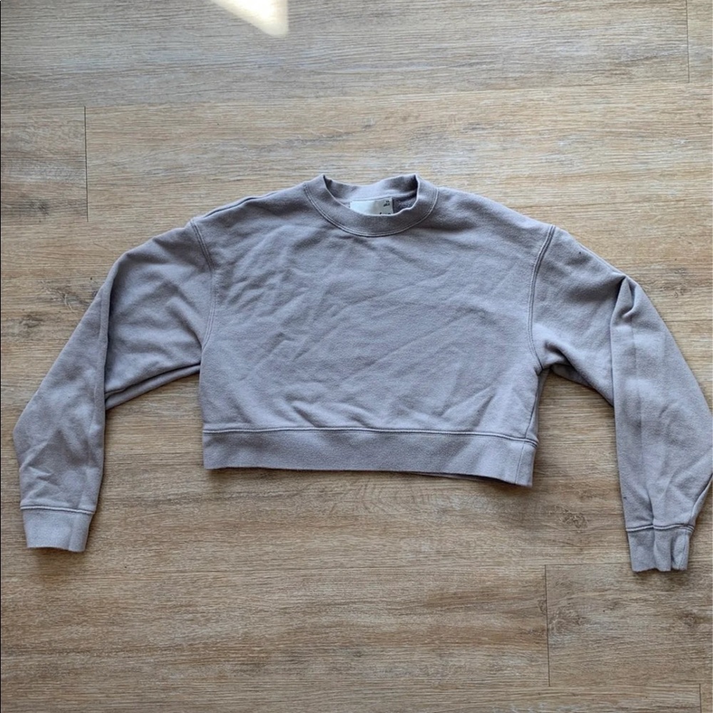 Aritzia Sweatshirt